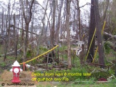 Debris from Ivan 6 months later off Gulf Beach Highway in Florida